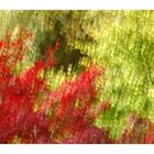 Autumn painting - Herbstmalerei