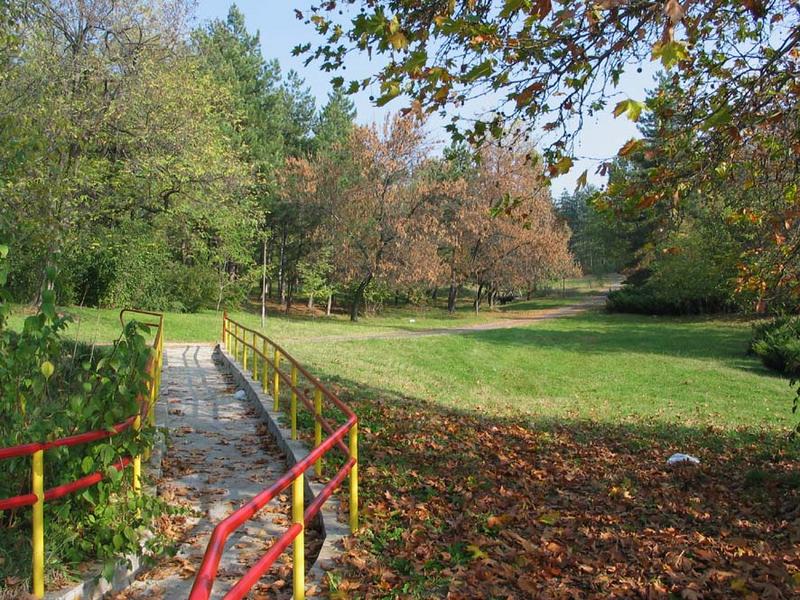 Autumn park