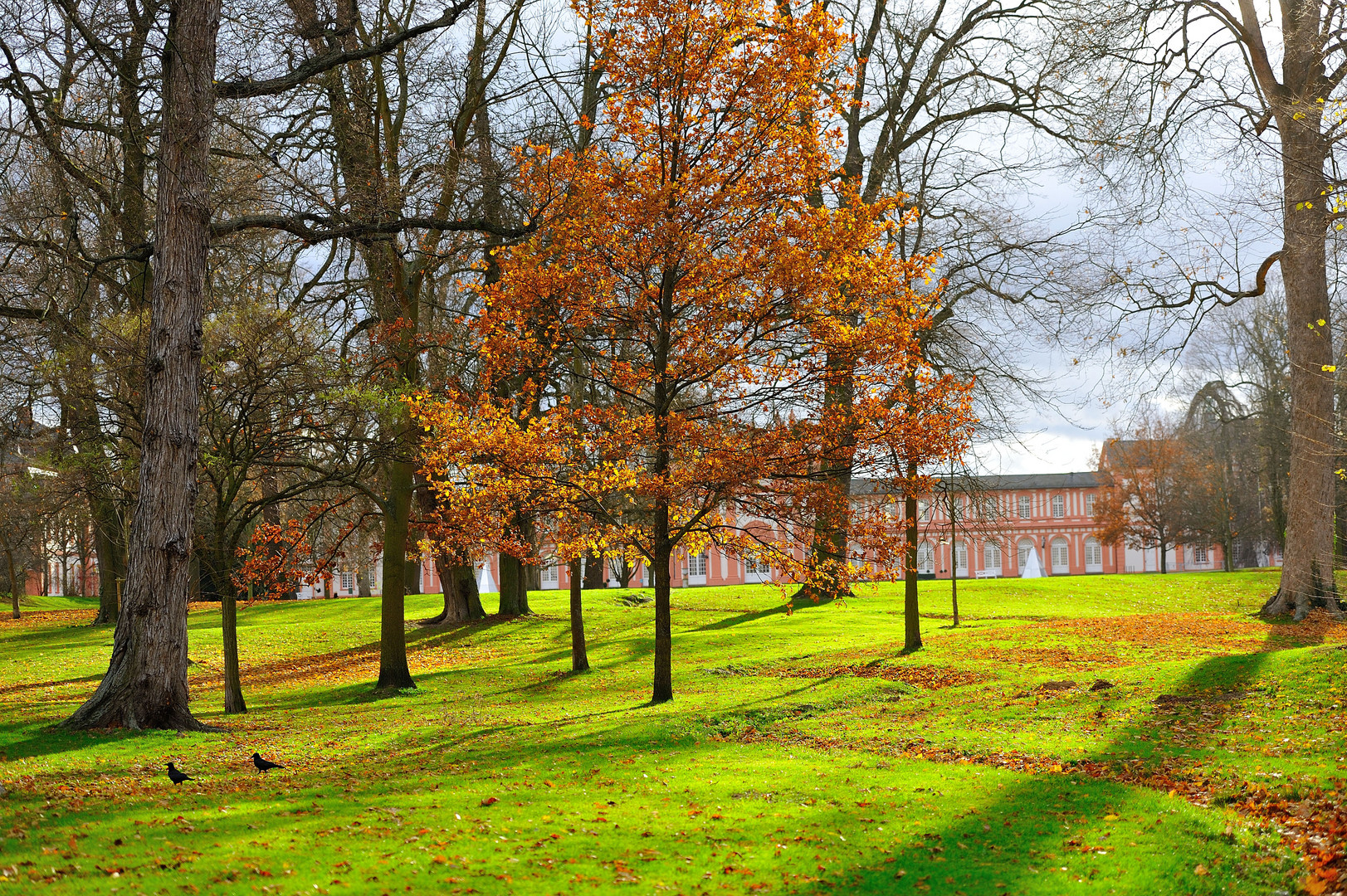 Autumn park