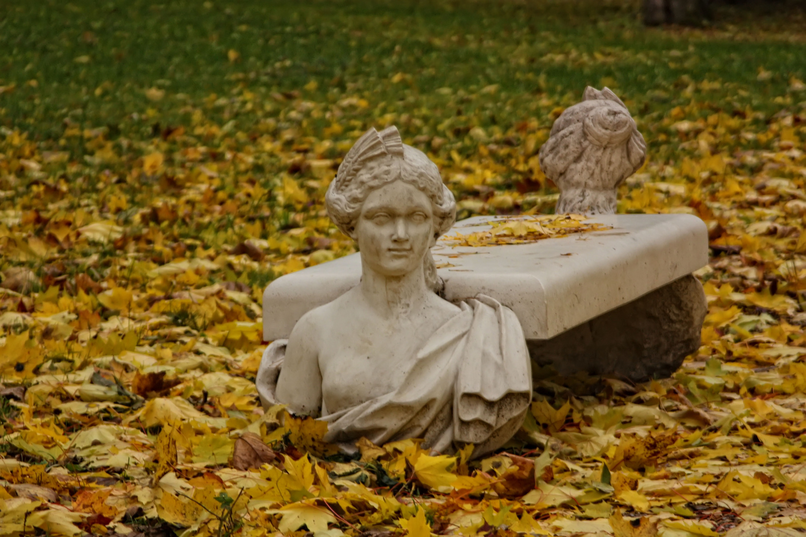 Autumn Park Bench