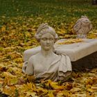 Autumn Park Bench