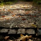 autumn path