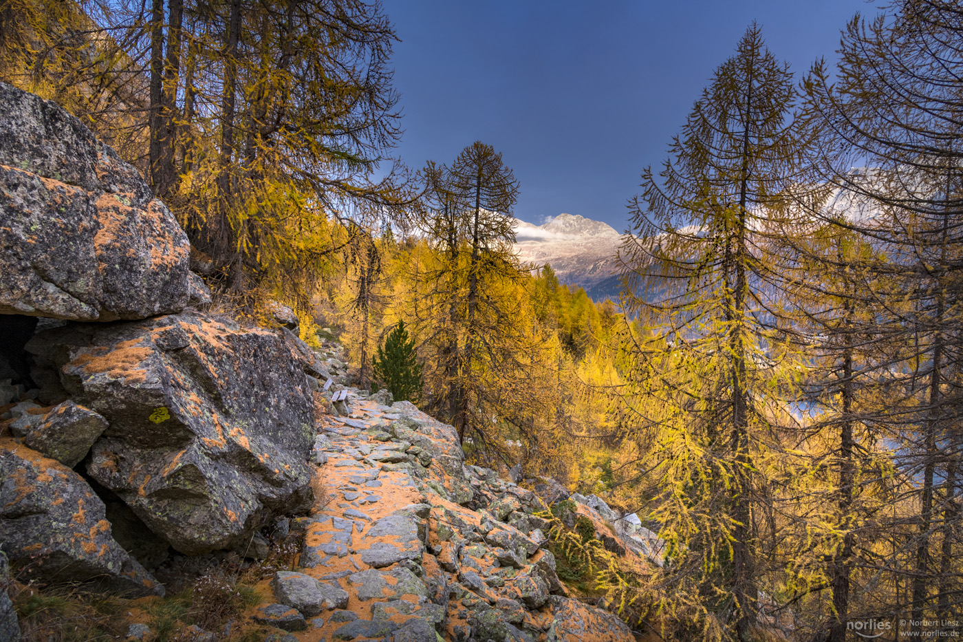 autumn path