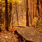 Autumn Pathway