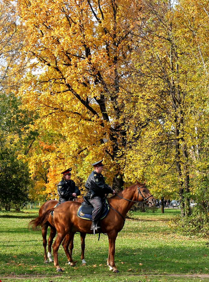 "Autumn" policemen