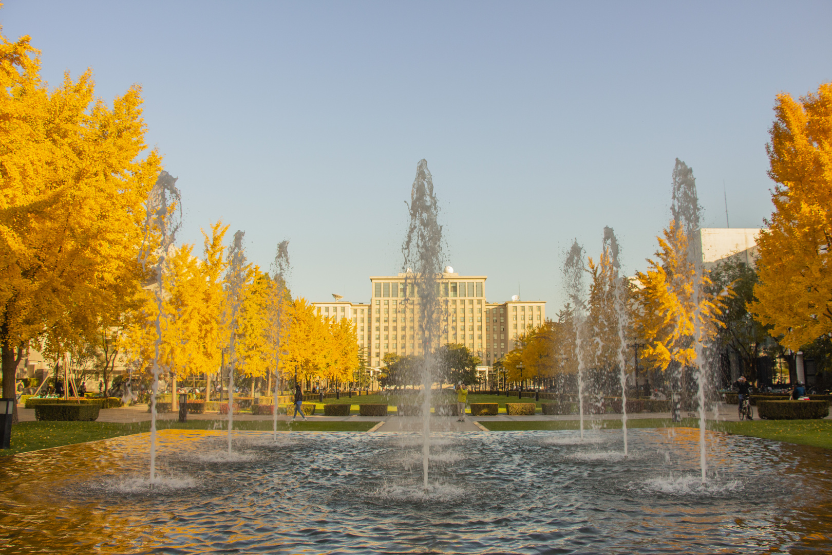 autumn pool