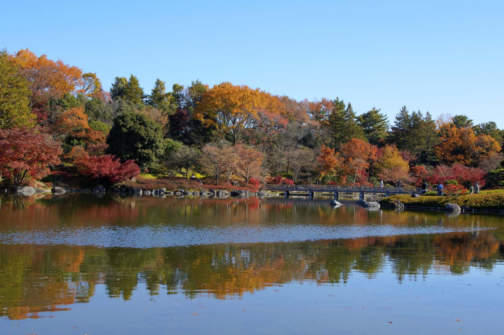 Autumn reflected 