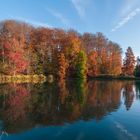 Autumn reflection