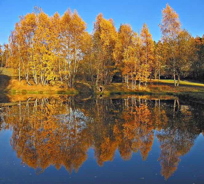 Autumn Reflections