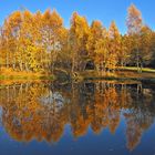 Autumn Reflections