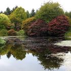 Autumn Reflections