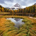 Autumn Reflections