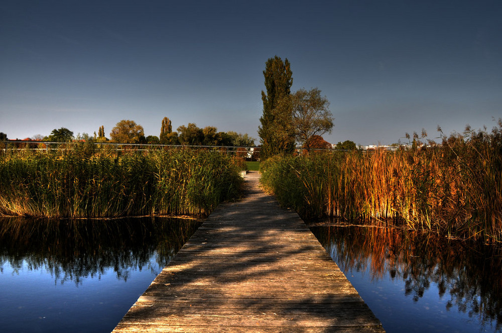 autumn reflections