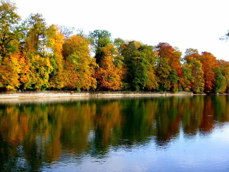 Autumn Reflections