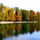 Autumn Reflections