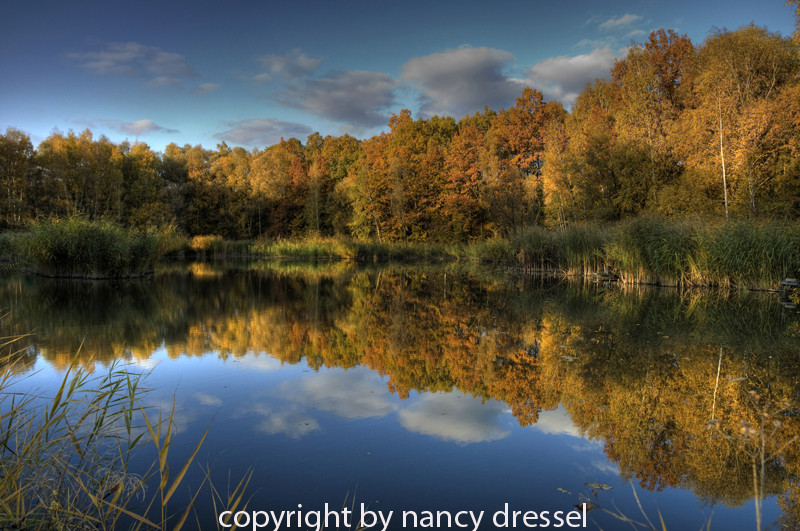 autumn reflections as HDR