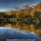 autumn reflections as HDR