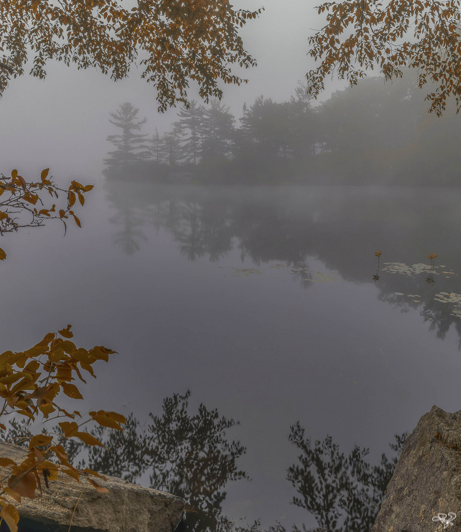 Autumn Reflections at Lake Tiorati at Dawn