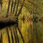 Autumn Reflections.