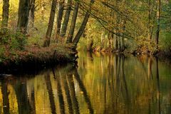 Autumn Reflections.