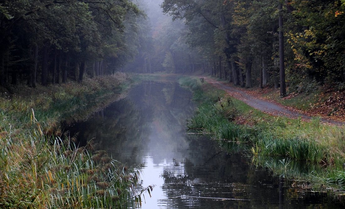 autumn reflections