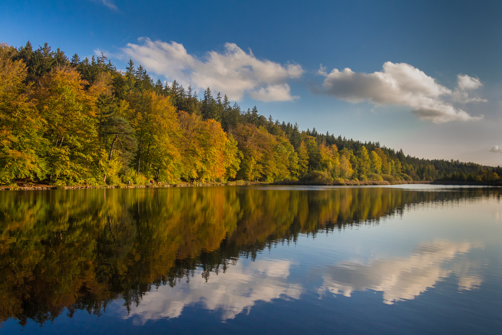 Autumn Reflections