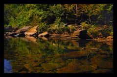 autumn reflexions ...