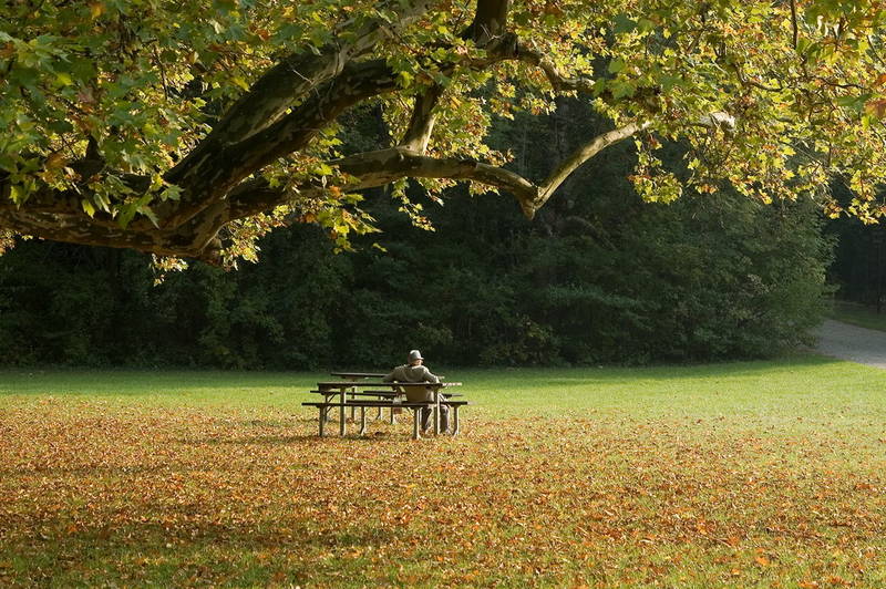 autumn relax