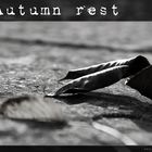 Autumn rest