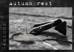 Autumn rest