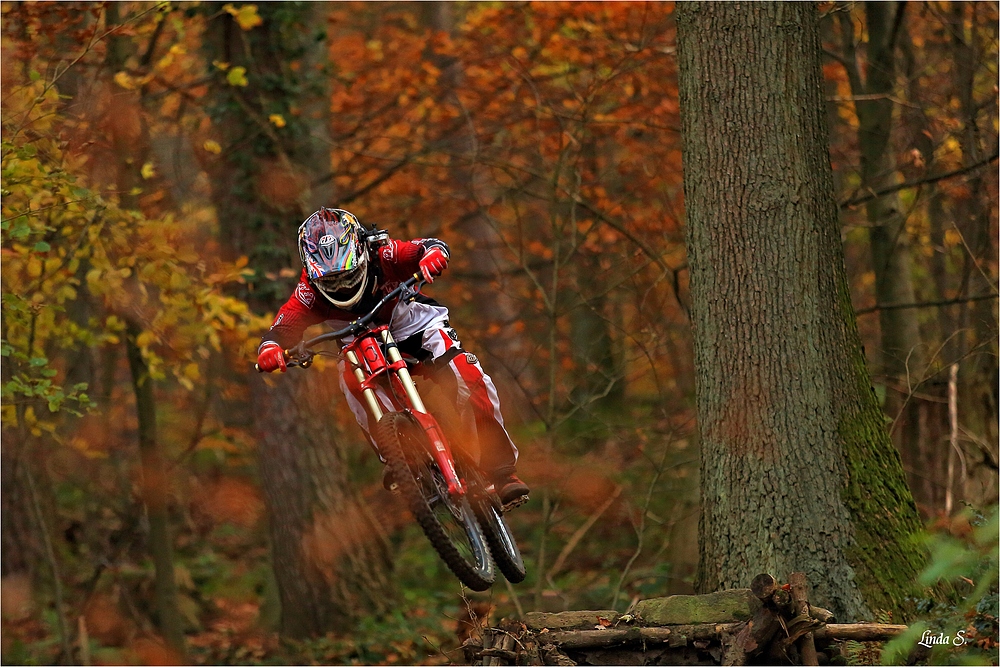 autumn rider