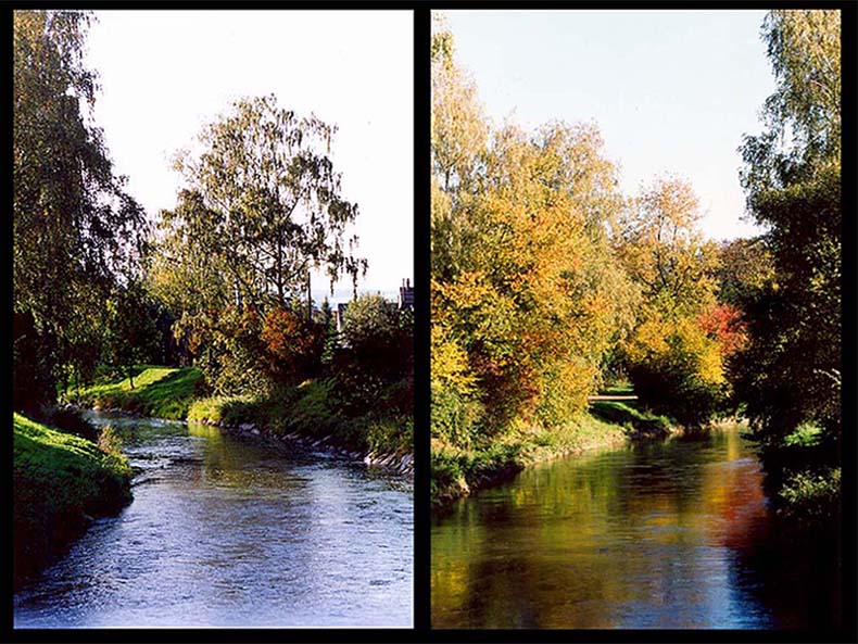 autumn river