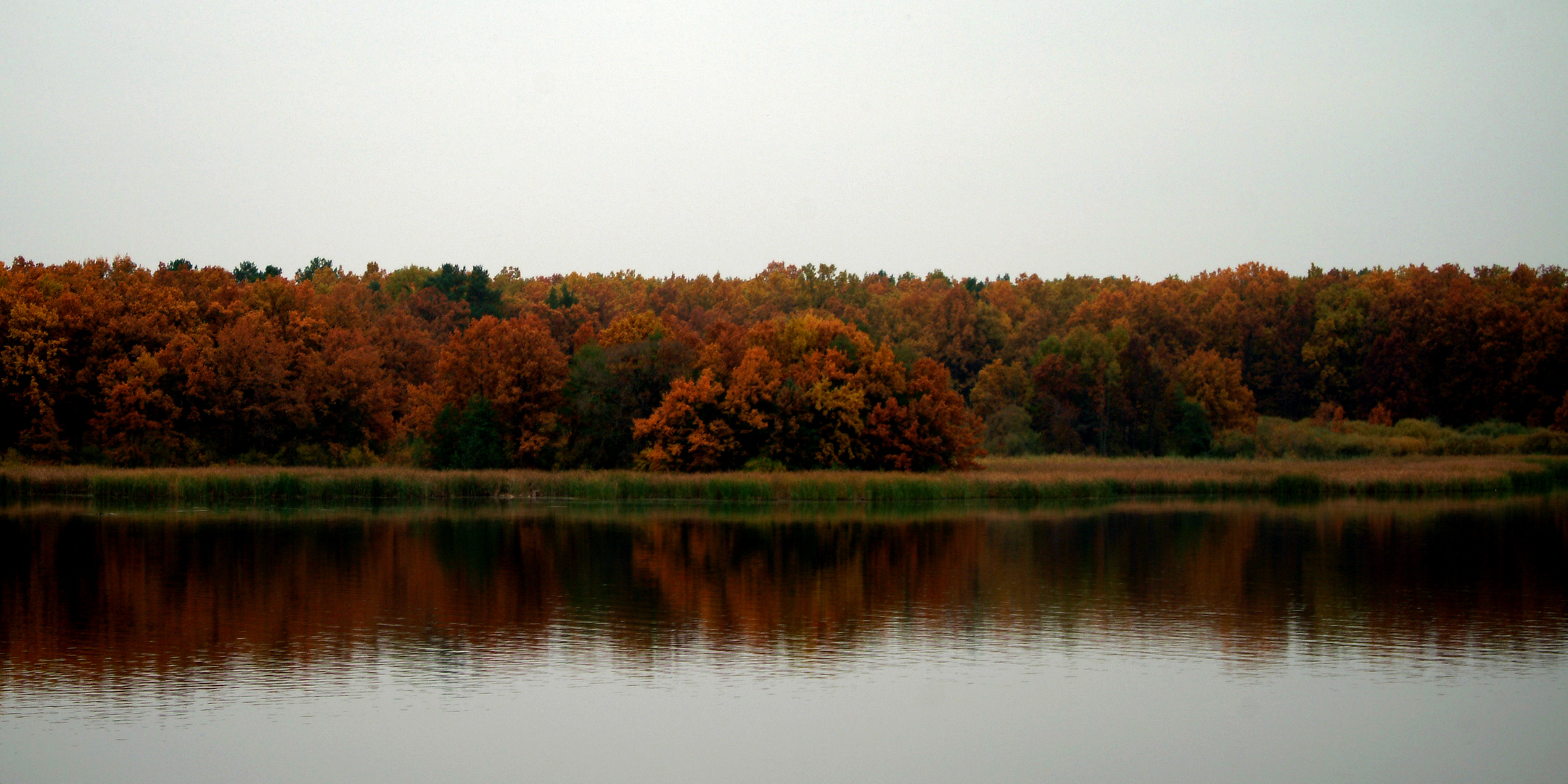 Autumn river