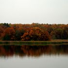 Autumn river