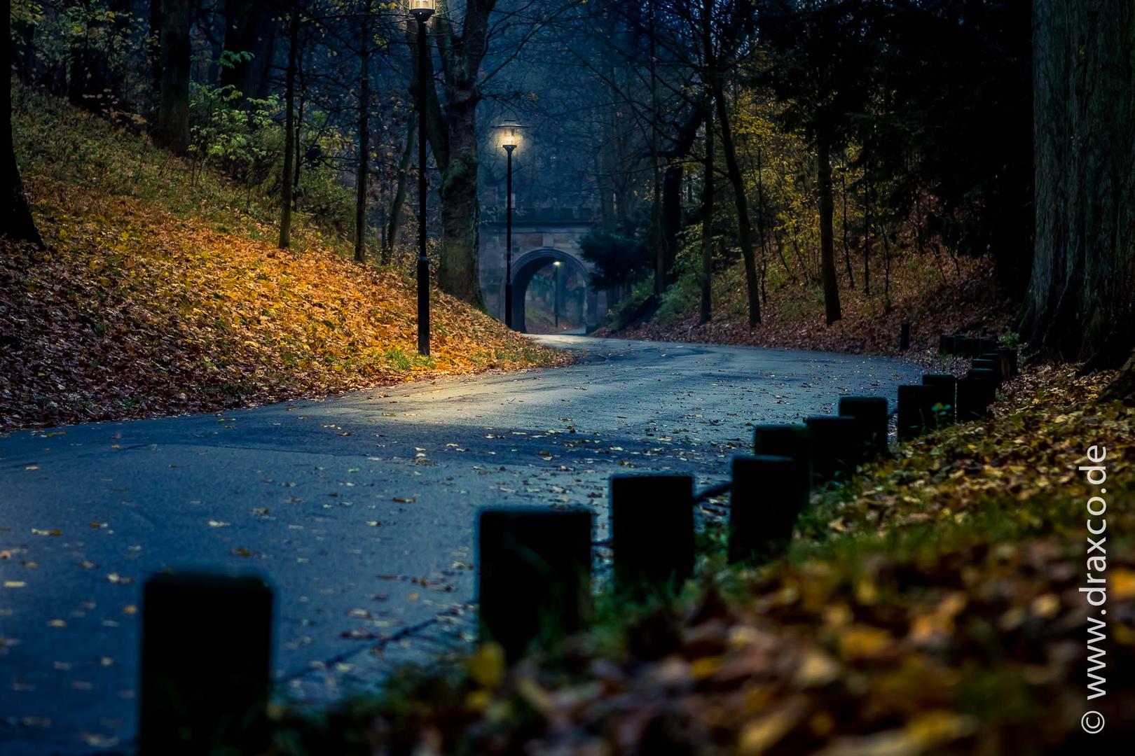 autumn road