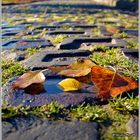 Autumn Road