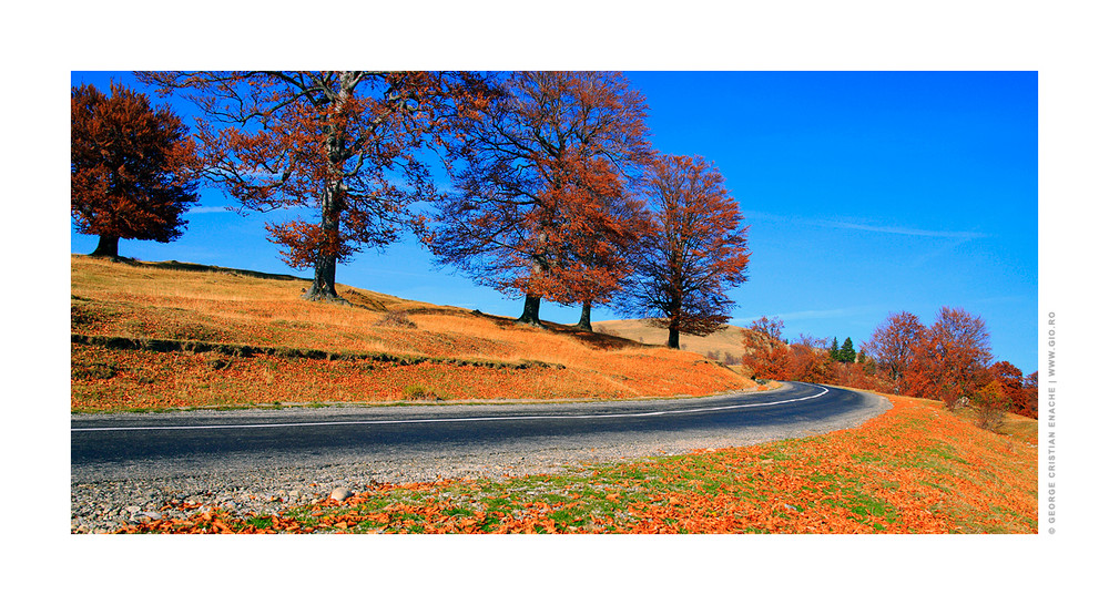 Autumn road at Ranca - Romania