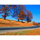 Autumn road at Ranca - Romania