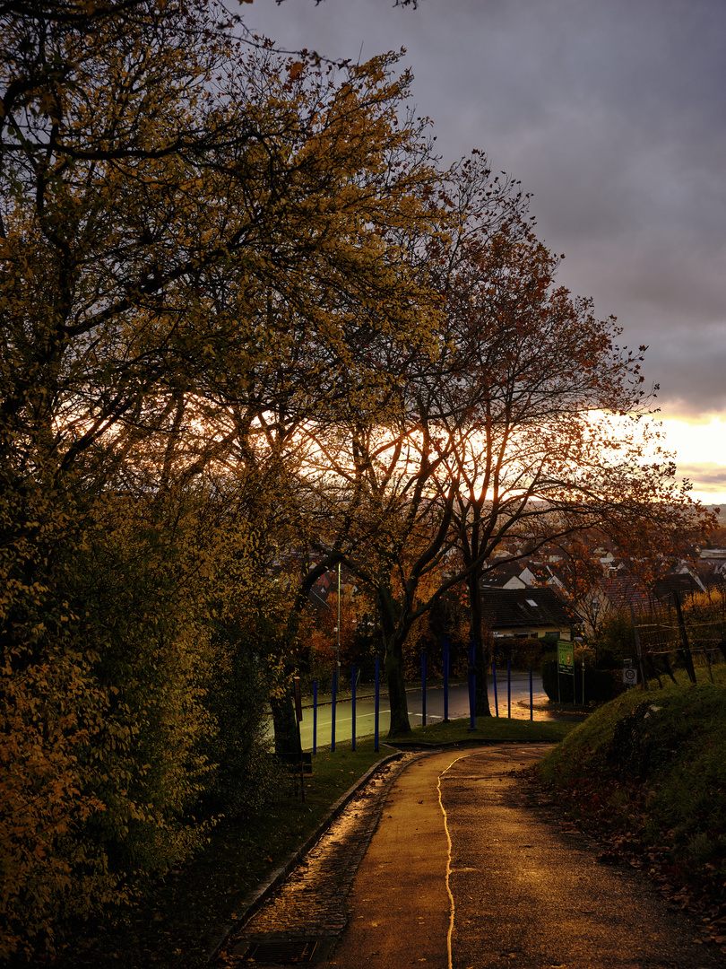 Autumn Road