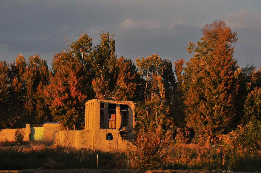 Autumn road