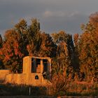 Autumn road