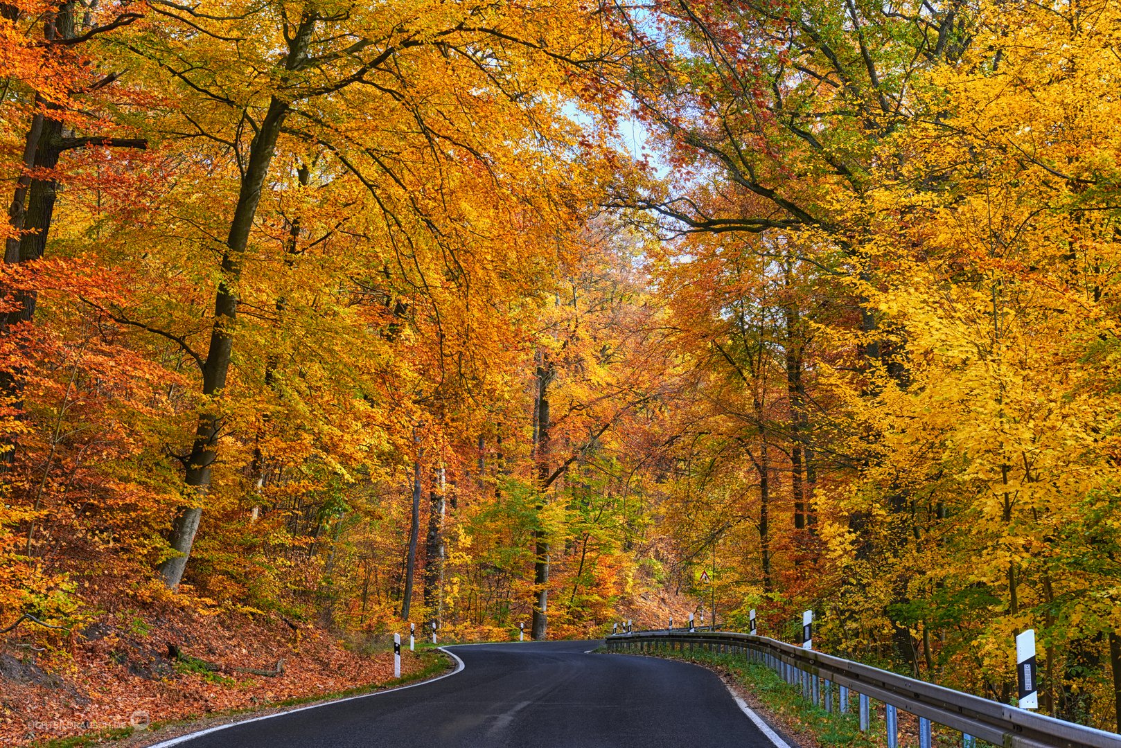 Autumn Road Near Chorin