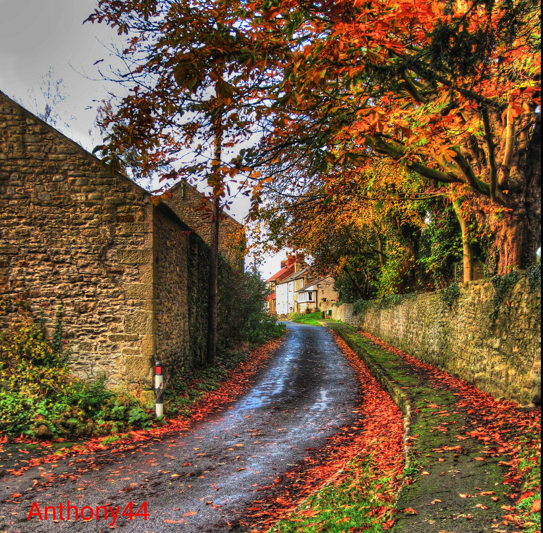 Autumn roads