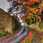 Autumn roads