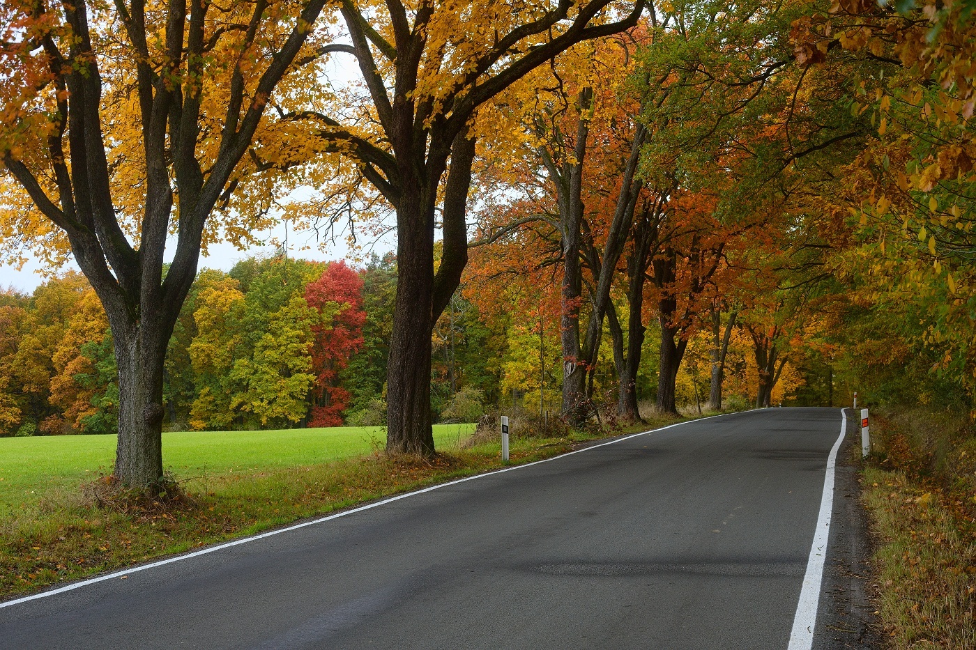 Autumn roads