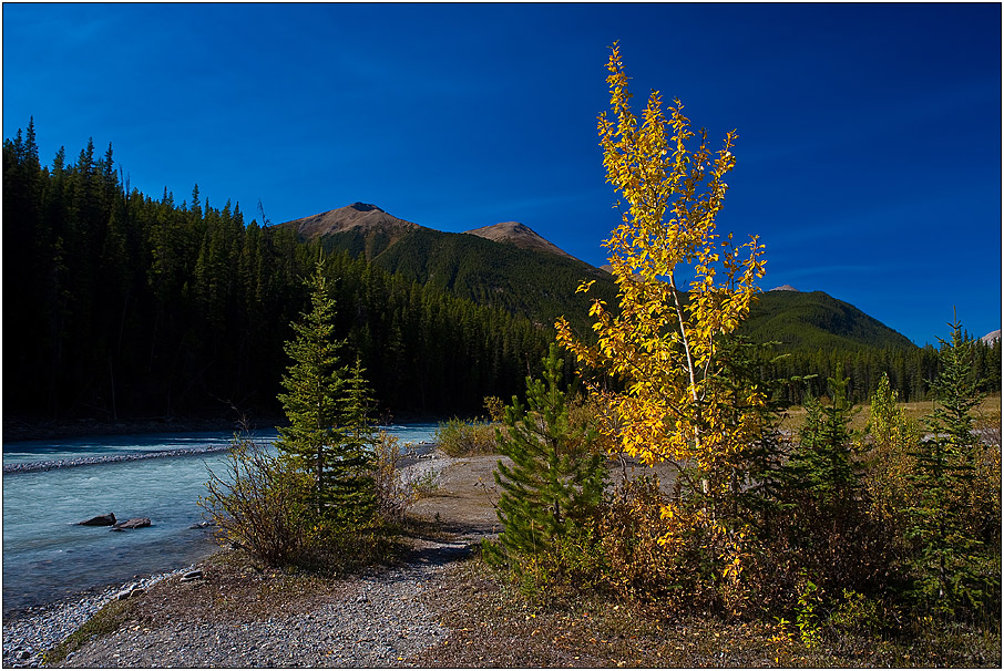 Autumn Rocky Mountain Colours