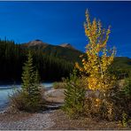 Autumn Rocky Mountain Colours