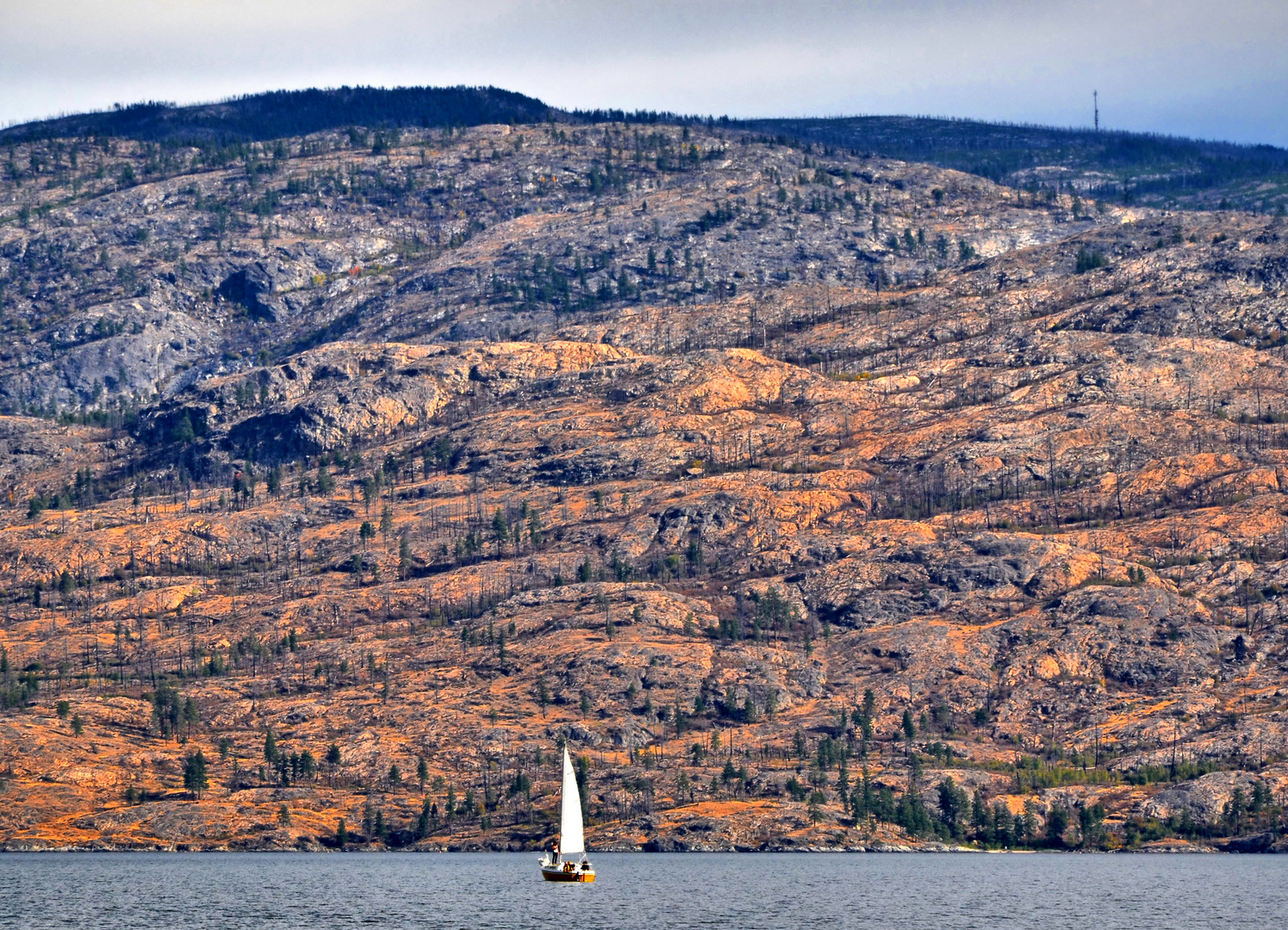 Autumn Sailing