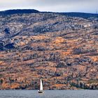 Autumn Sailing