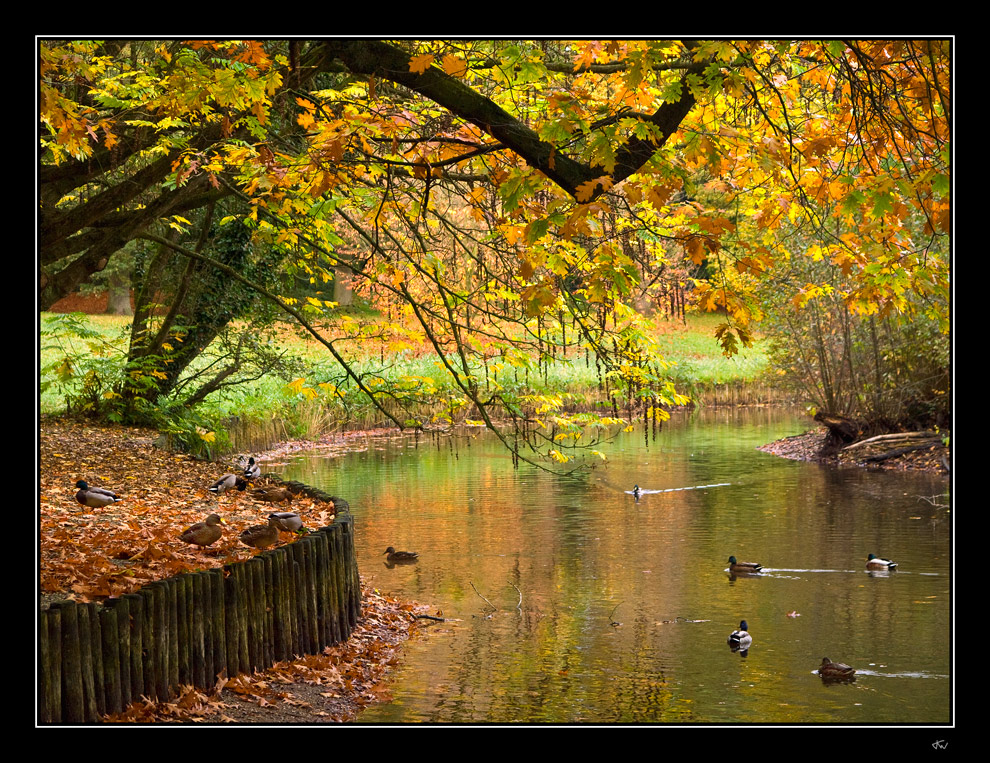 Autumn scenery